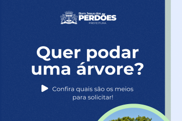 QUER PODAR UMA ÁRVORE? 
