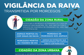VIGILÂNCIA DA RAIVA