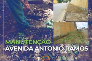  Limpeza e roçagem na avenida Antônio Ramos