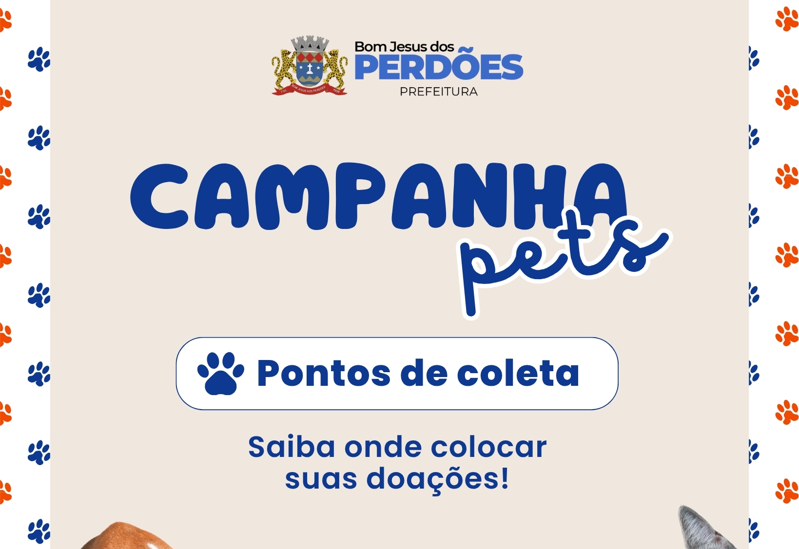 PONTOS DE COLETA: CAMPANHA PETS